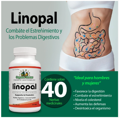 Mundo Natural - Sabias que el intestino es conocido por la... | Facebook