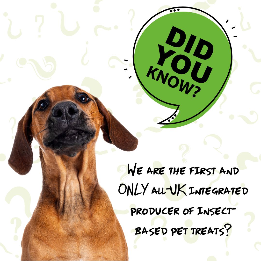 Mr Bug - 🇬🇧🌿 Did you know Mr Bug is the first and ONLY...