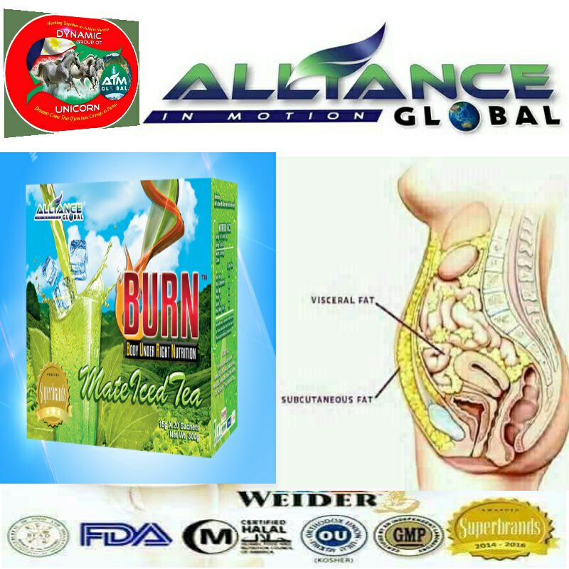 Aim Global Dynamic International
