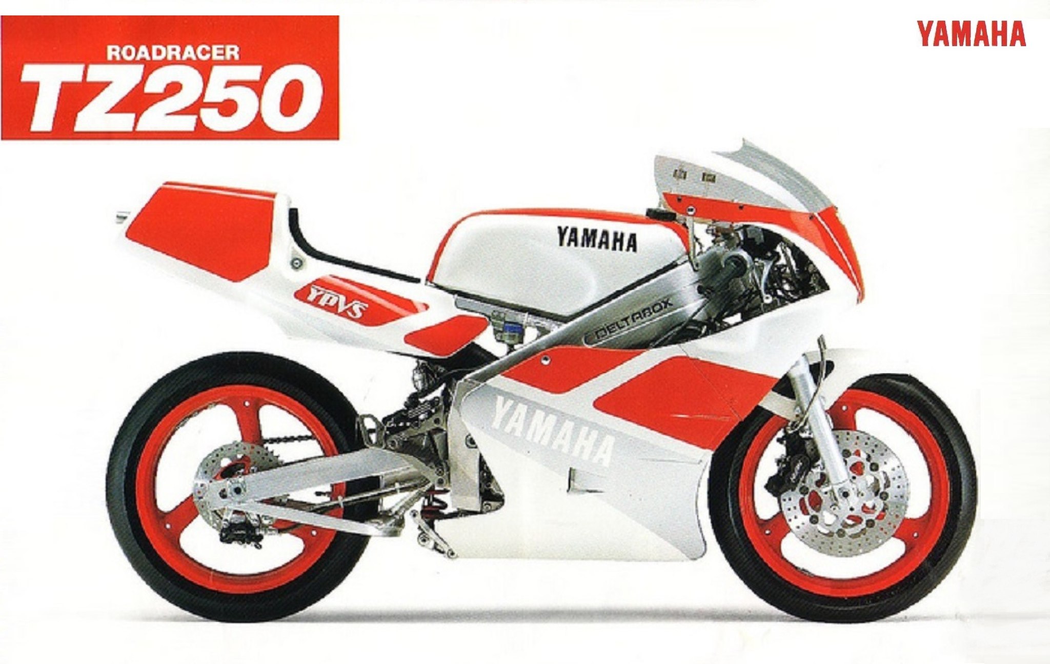 YΑΜΑΗΑ TZR250 (3MA) - 1989 249cc, 50hp/10.000rpm, 128kg στεγνό**