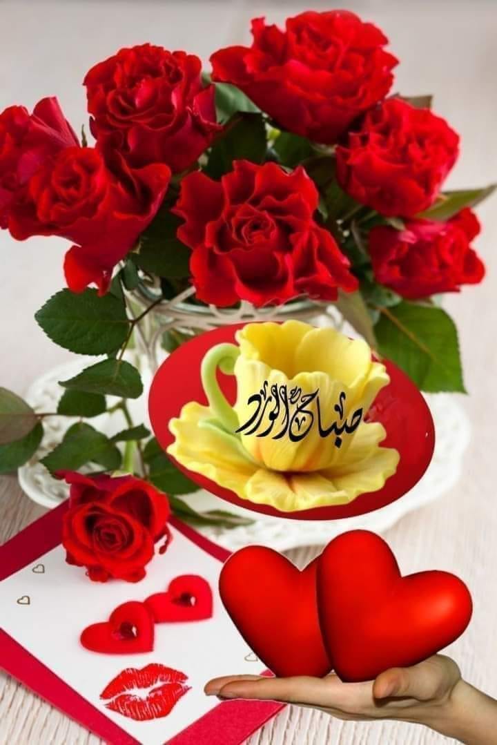 أم عبدو الشامية - ما في بيت عربي قديم إلا و بأرض ديارو كبادة ...يعني ...