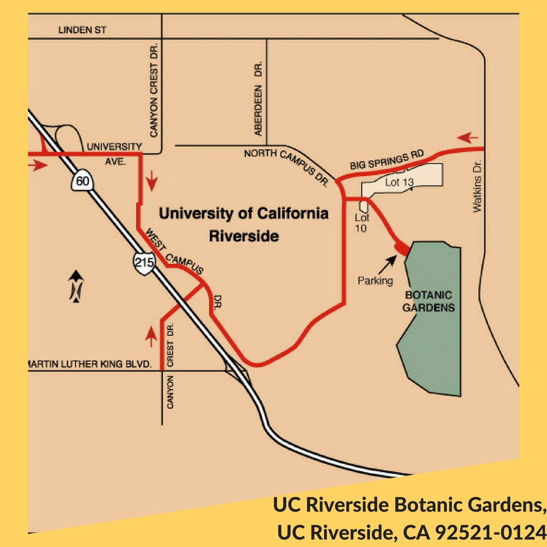 GCAP - Green Campus Action Plan | Riverside CA