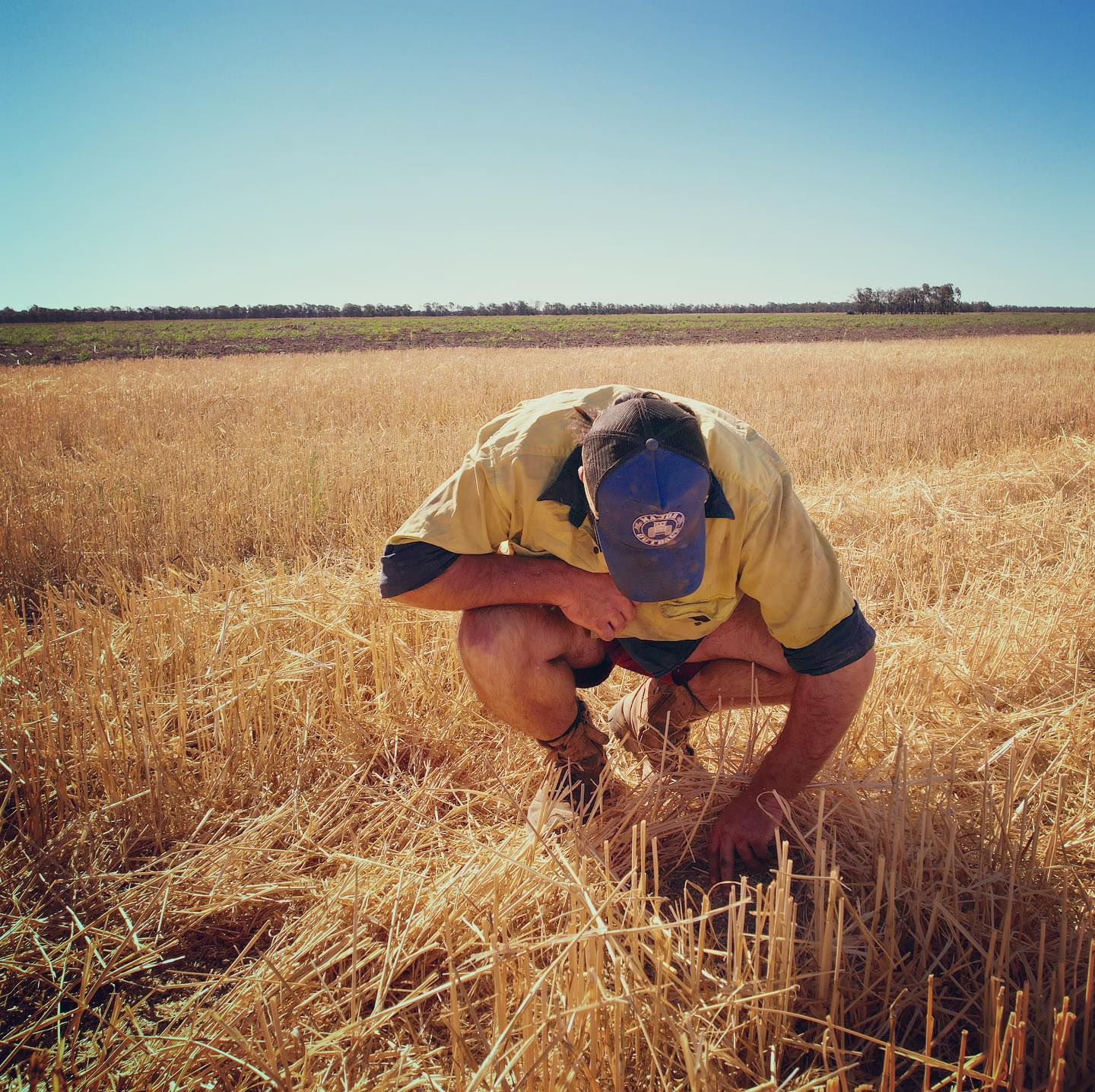 Major Outback - 🌾 “Farming is a profession of hope.” 🌾...