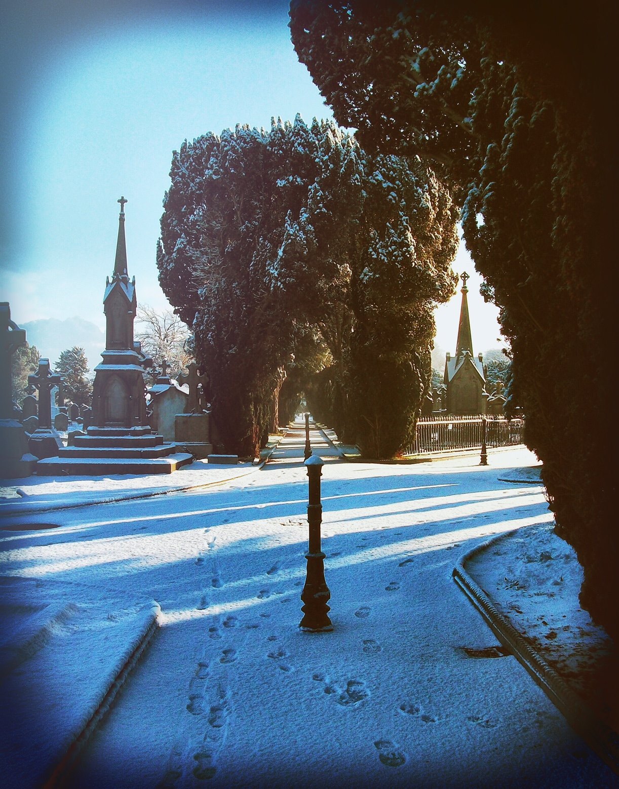 There... - Experience Glasnevin - Ireland's National Cemetery | Facebook