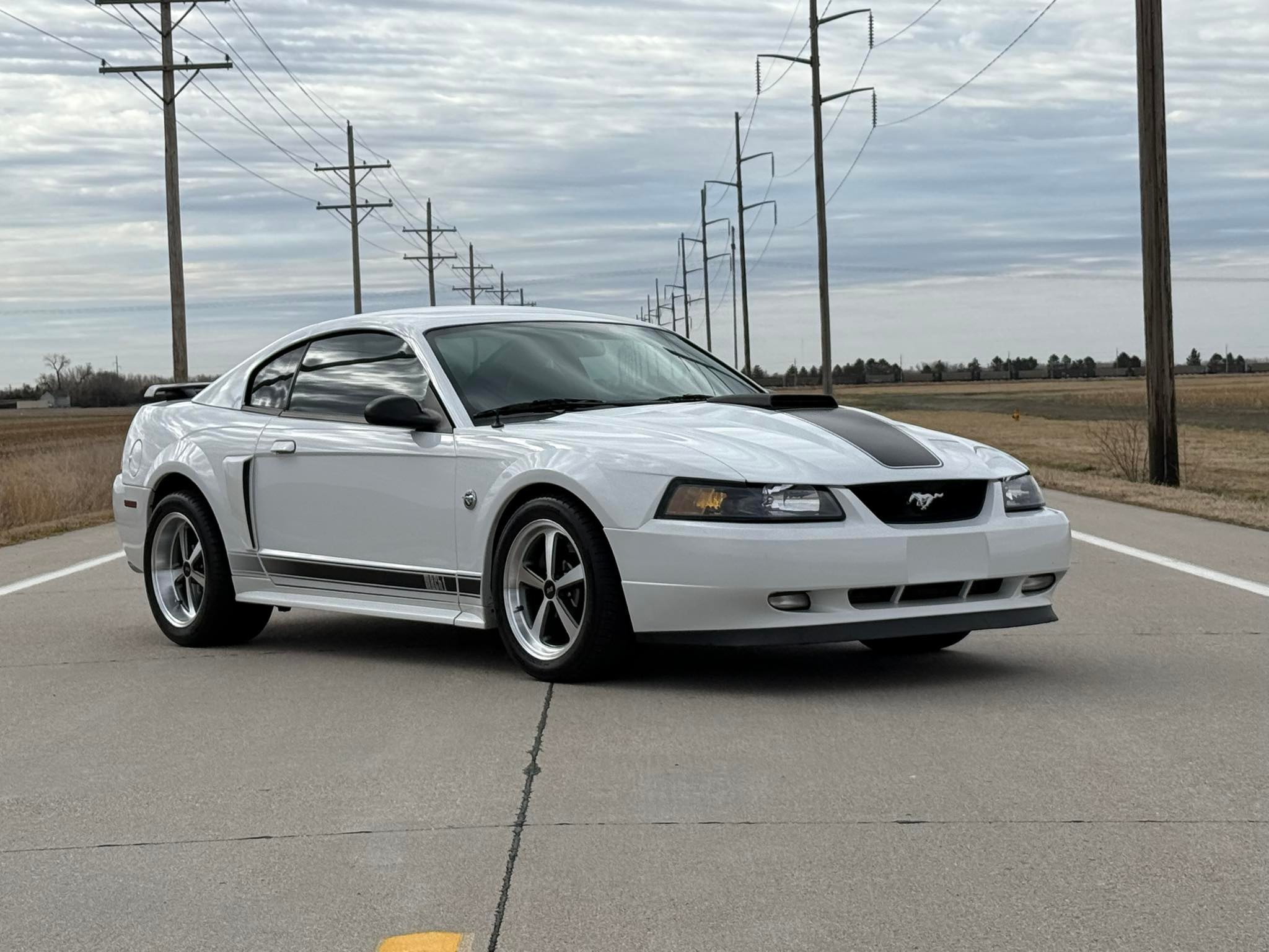 2004 Oxford White 40th Anniversary Mach 1 for sale