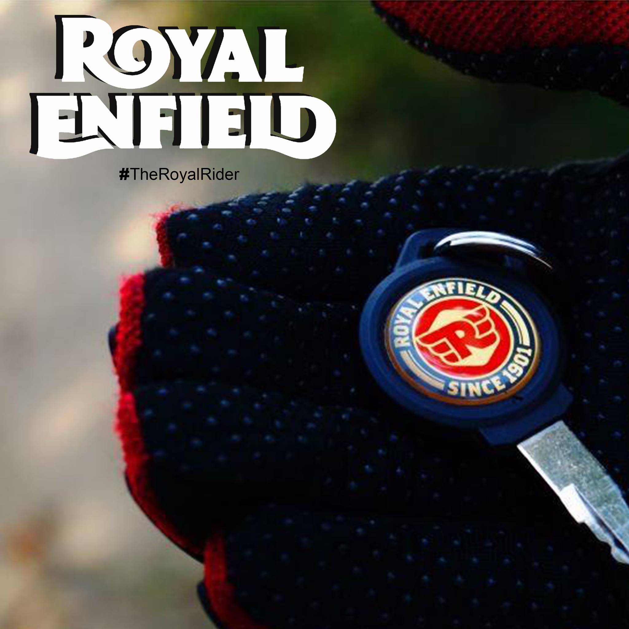 The Royal Rider