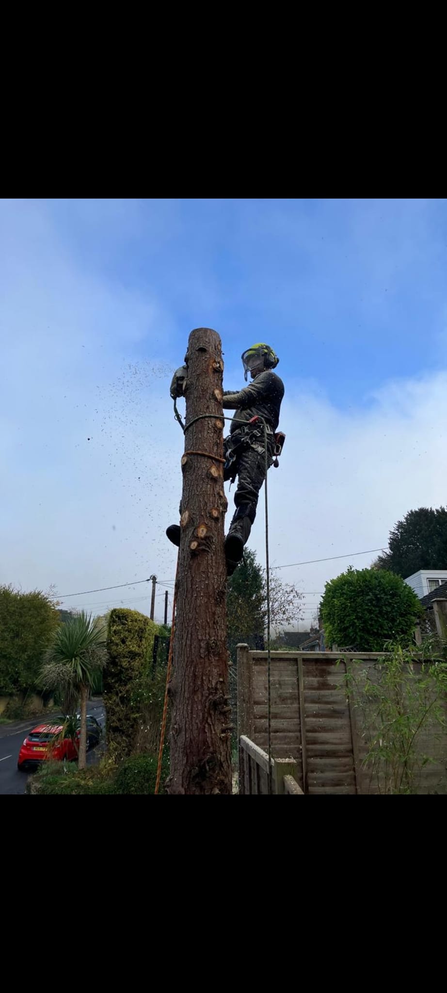 T & J Tree services | Maidenhead
