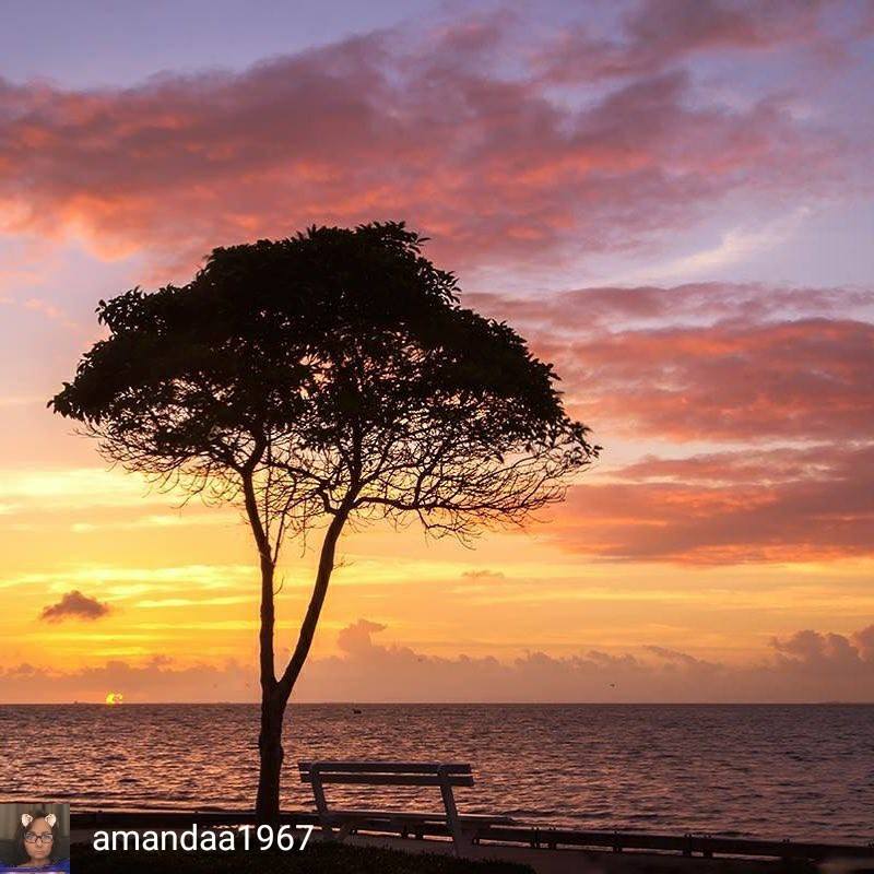Visit Redcliffe Peninsula, Queensland - A lovely pink sunset tonight ...