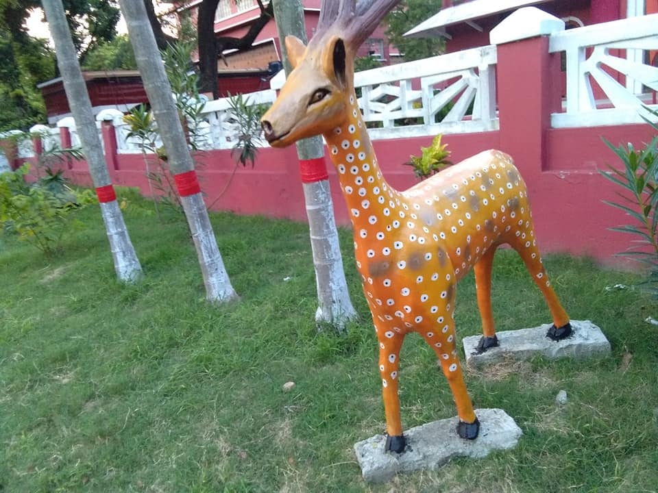 VOICE of Rajshahi College - #1st_PhotoContest_2018 Sompa Rani ...
