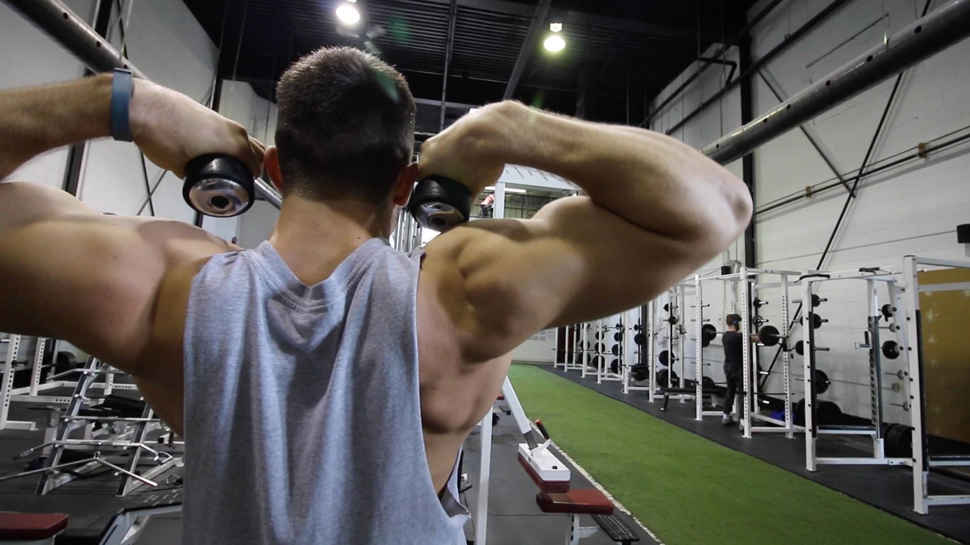 Build your rear delts easy with these... - Colossus Fitness | Facebook