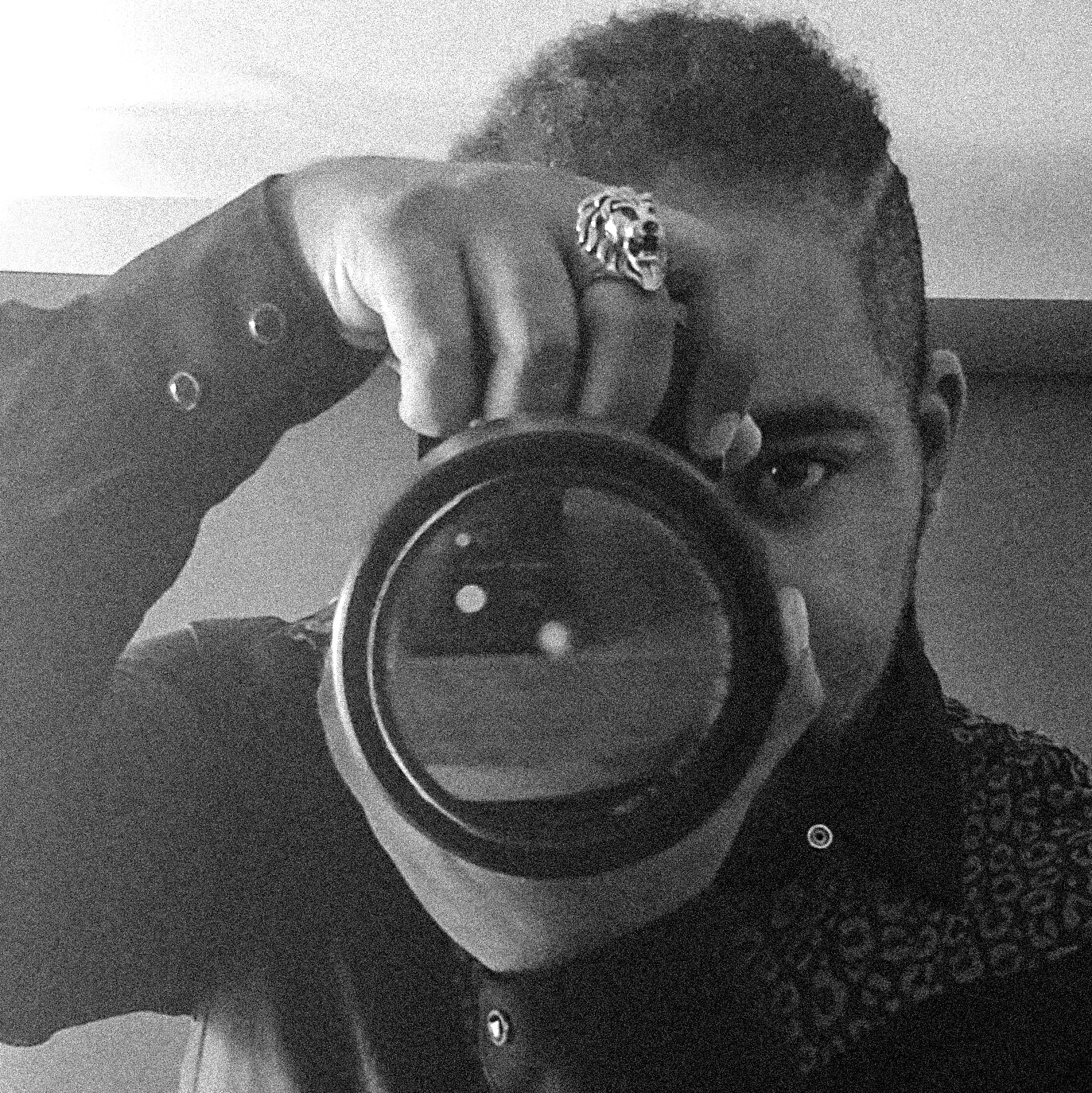 LionFramer Photography