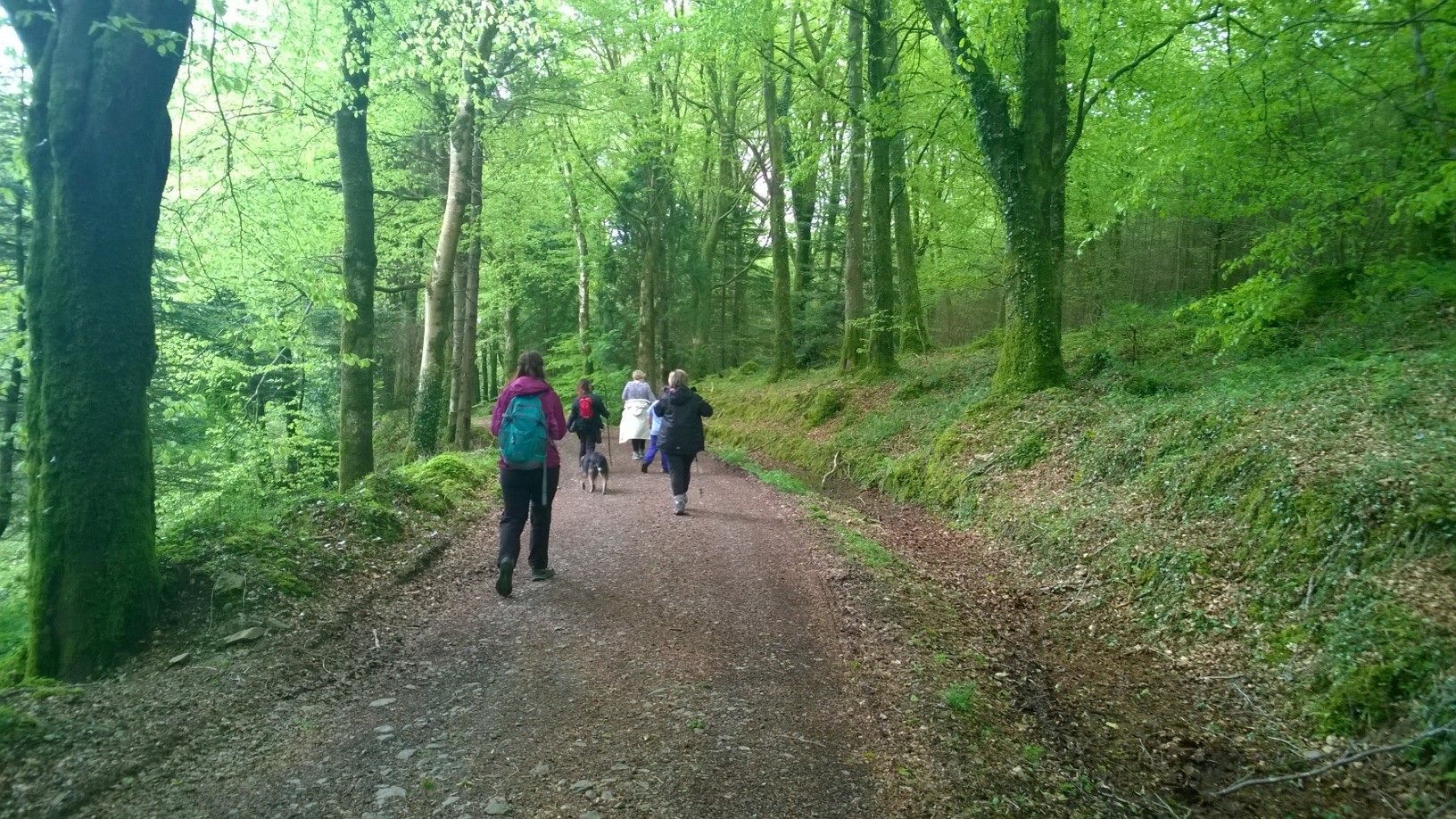 The Táin Way