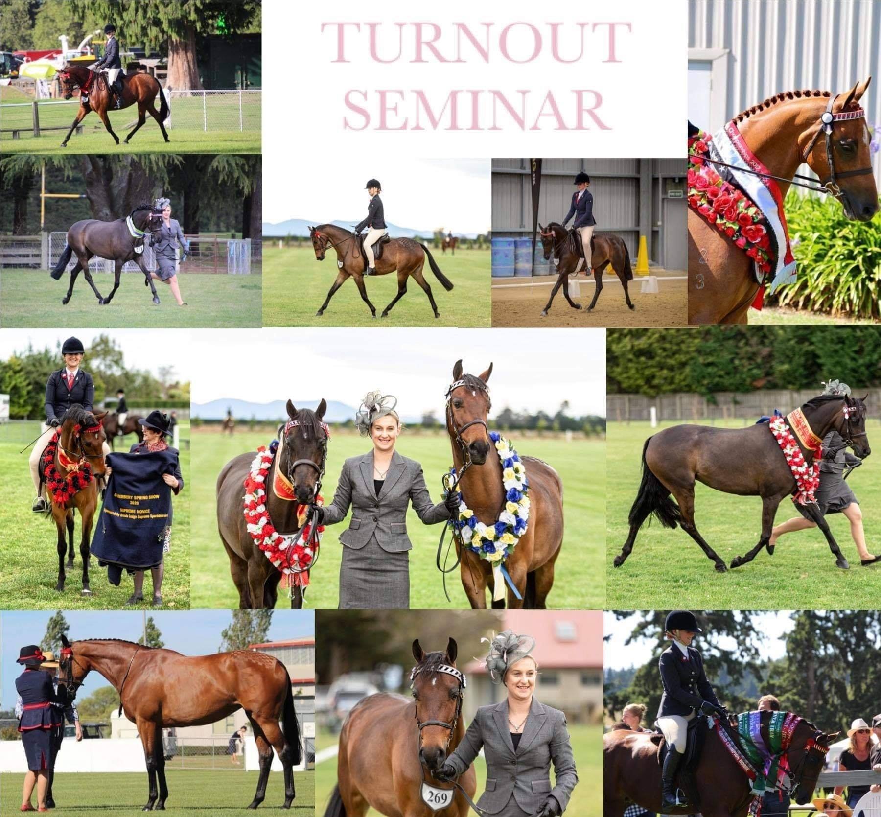 Silverstream Equestrian Centre | Mosgiel