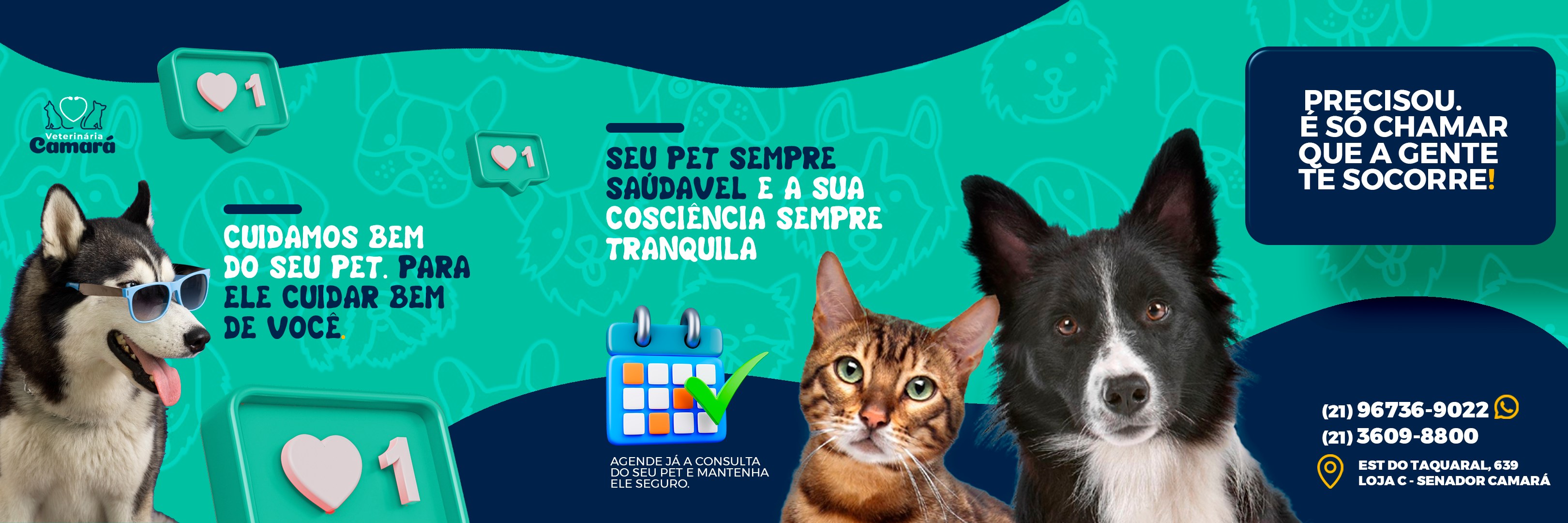 Pathos- Aperfeiçoamento em Patologia Veterinária - A linfadenite ...