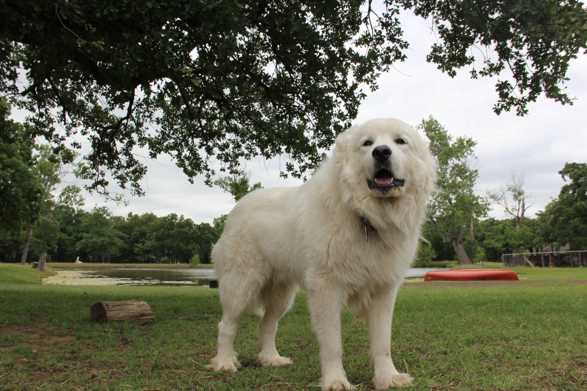 My Redeemers Ranch - Keller | Keller TX