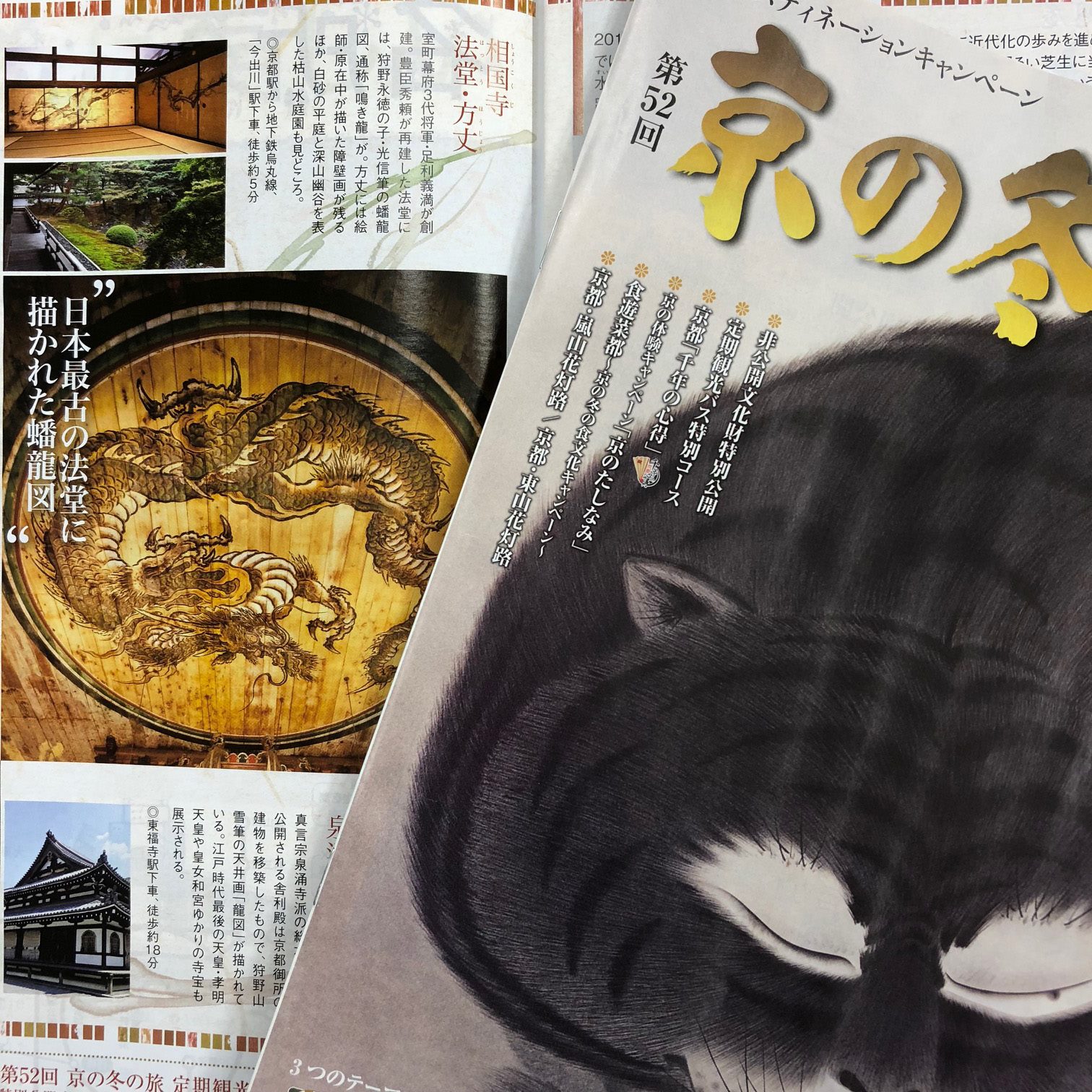 HYDE キャンバス画　絵画　アイモチーフ　目　お守り　龍　牡丹唐草 JR「京の冬の旅」で紹介されている相国寺。法堂の天井に描かれた見事な