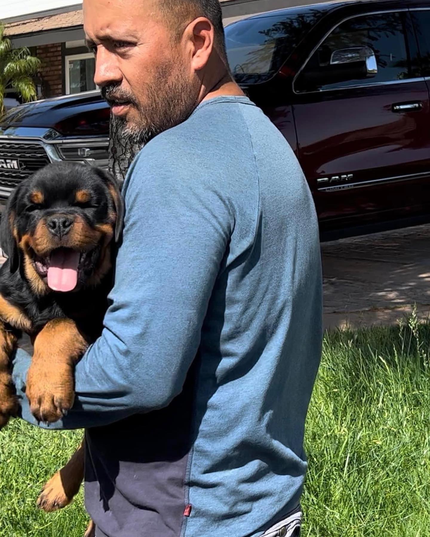 Von Der Obersten Rottweilers Kennel | Moreno Valley CA