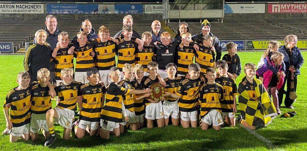 Rathnure GAA Scrap Book | 2025 Rathnure Div.1 U12 County Champions. Pos ...