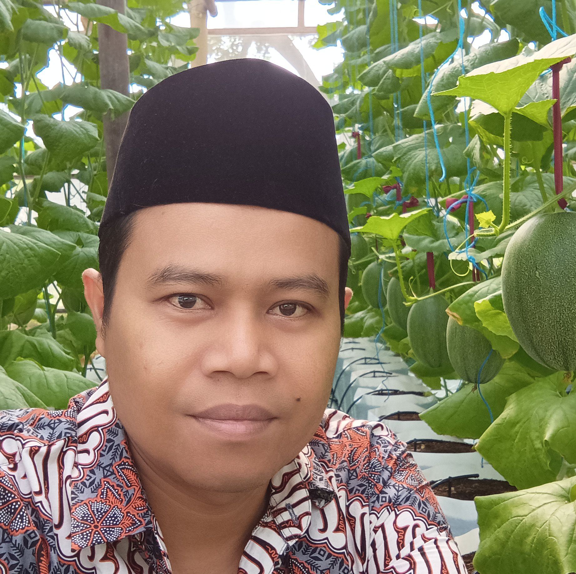 GREENHOUSE GROWERS | Advantages of Drip Fertigation for Melons | Facebook