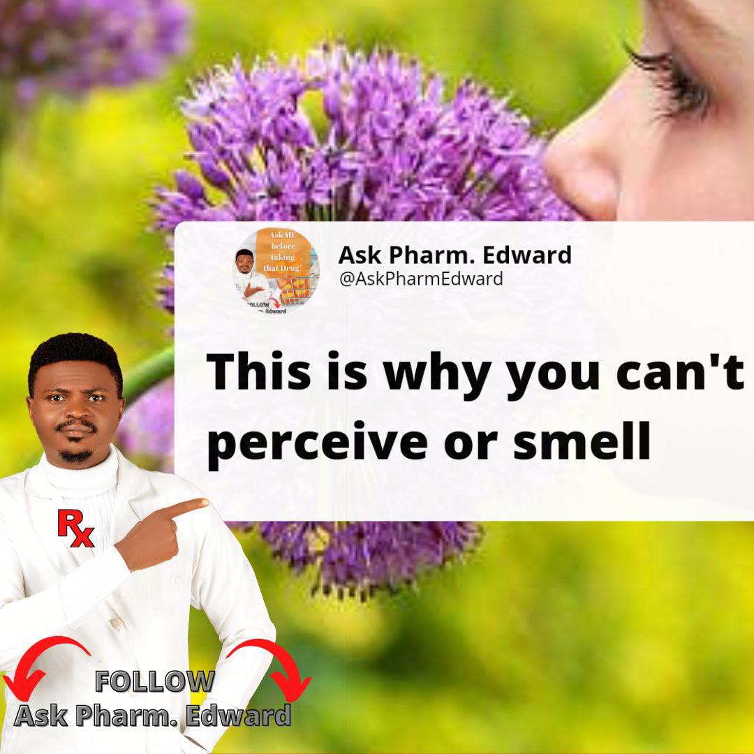 cigarette smell stuck in nose What does the of stale tobacco smoke mean? What Happens to Your Sinuses