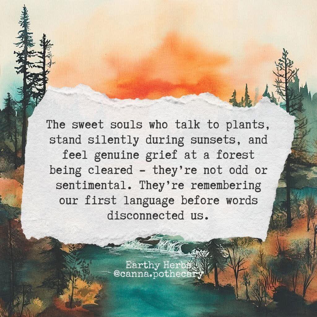 Janine Savient - Silence is the deep language of sentient... | Facebook