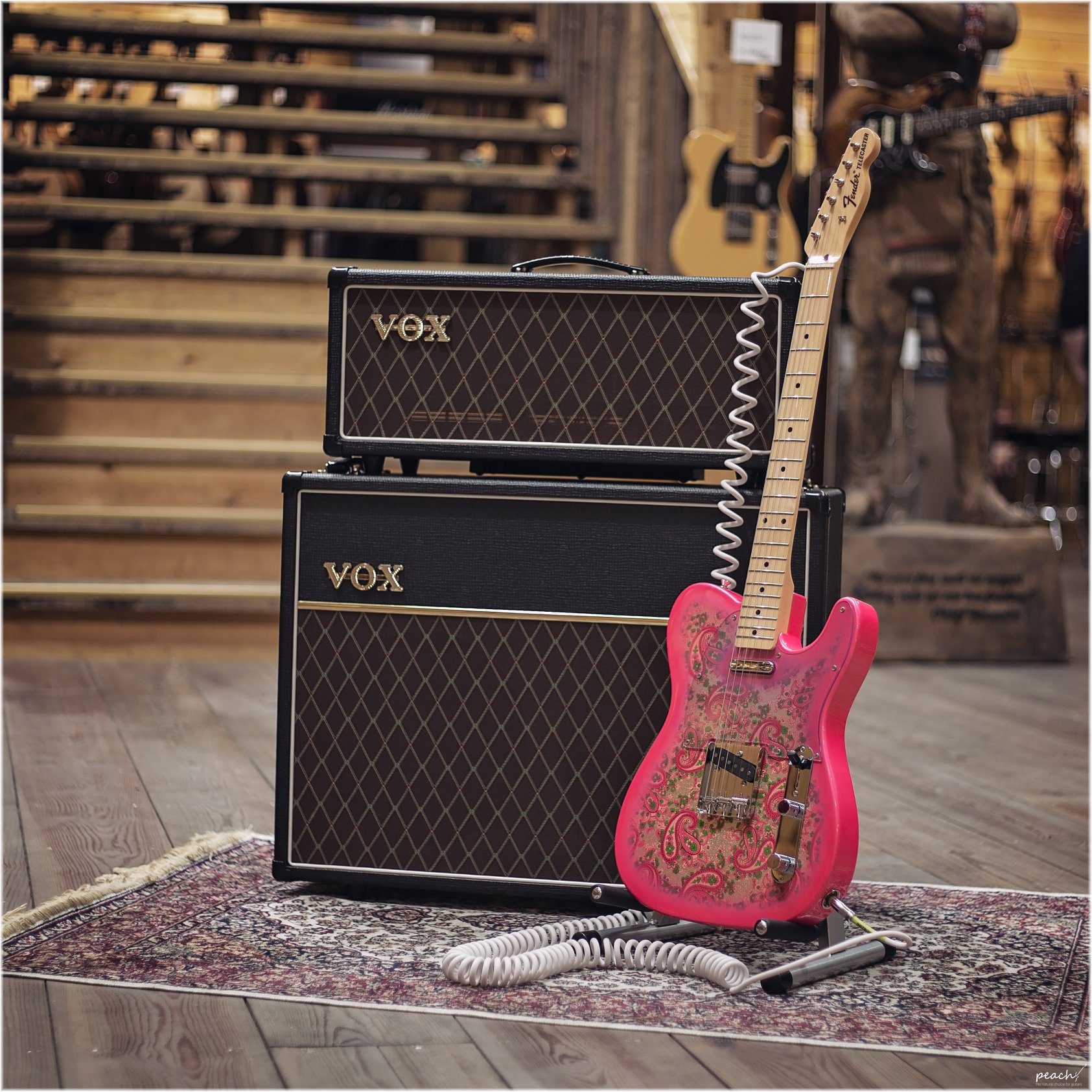 The Fender ASUKA TELECASTER ♥ This Japanese made Tele is Themed