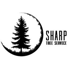 Sharp Tree Care | Whangarei