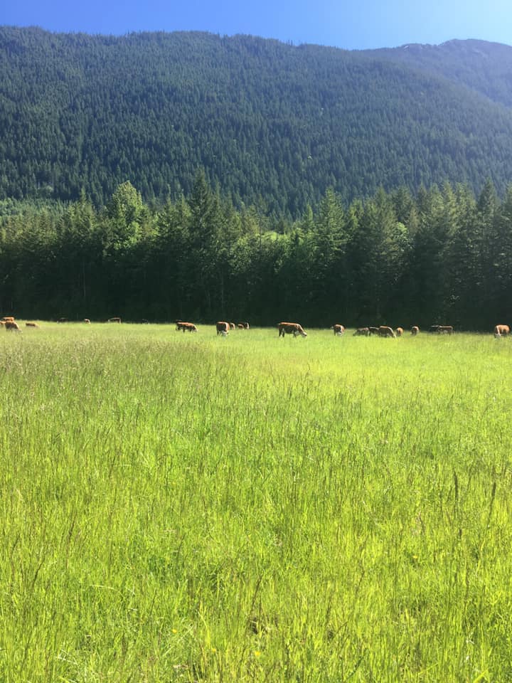 Nighthawk Ridge Farms Ltd. | Port Alberni BC