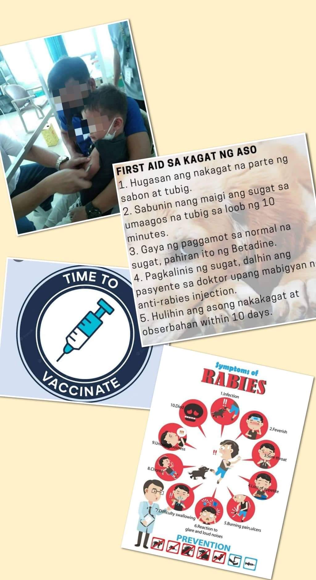 Anti Rabies Vaccination Home Service | Facebook