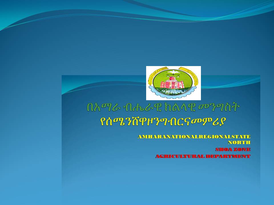 Amhara Industry and Investment Bureau - በአማራ ክልል ቡሬ ከተማ በባለ ሀብቱ በአቶ ...