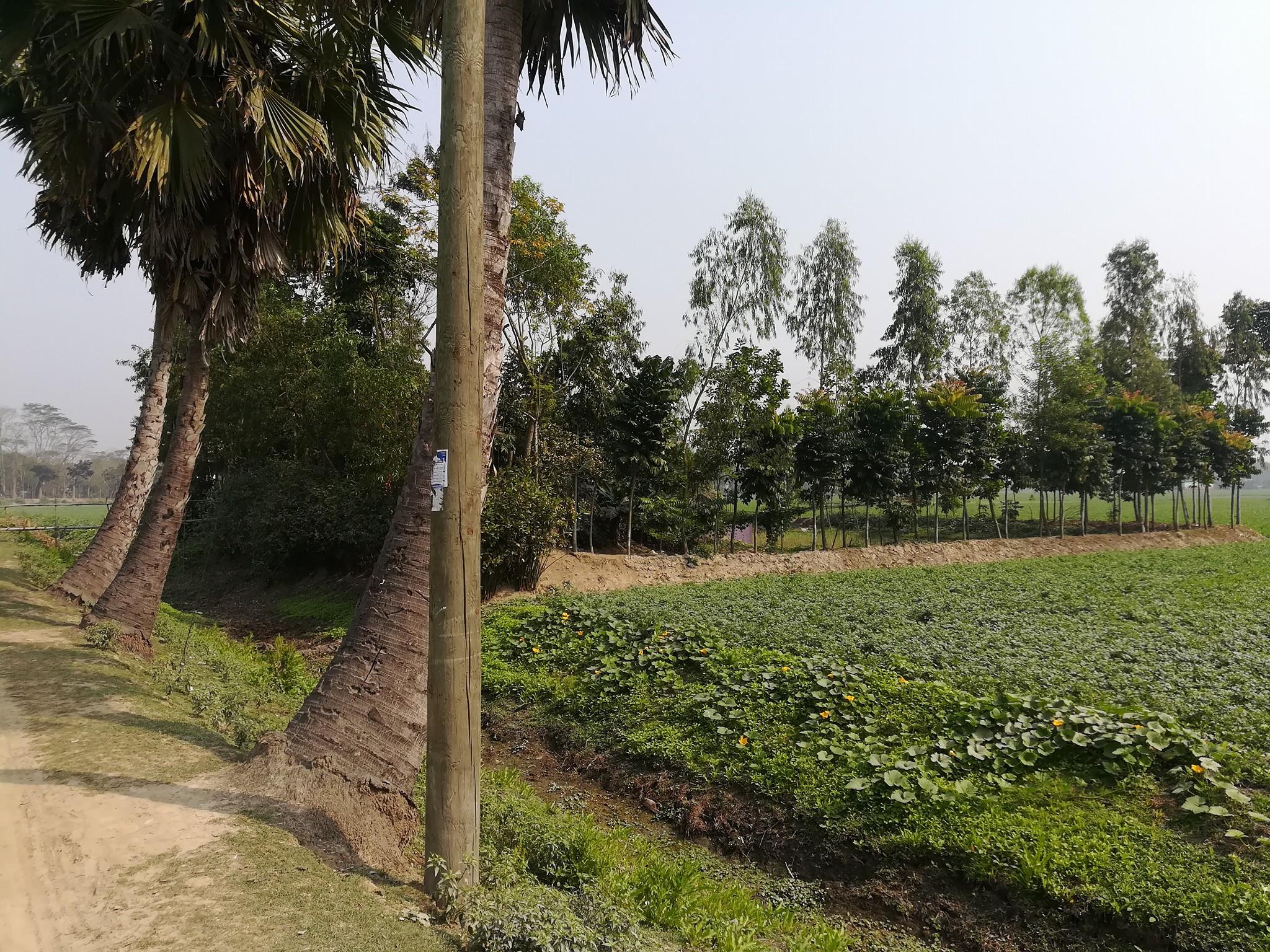 Talukder Royal Park - তালুকদার রয়েল পার্ক
