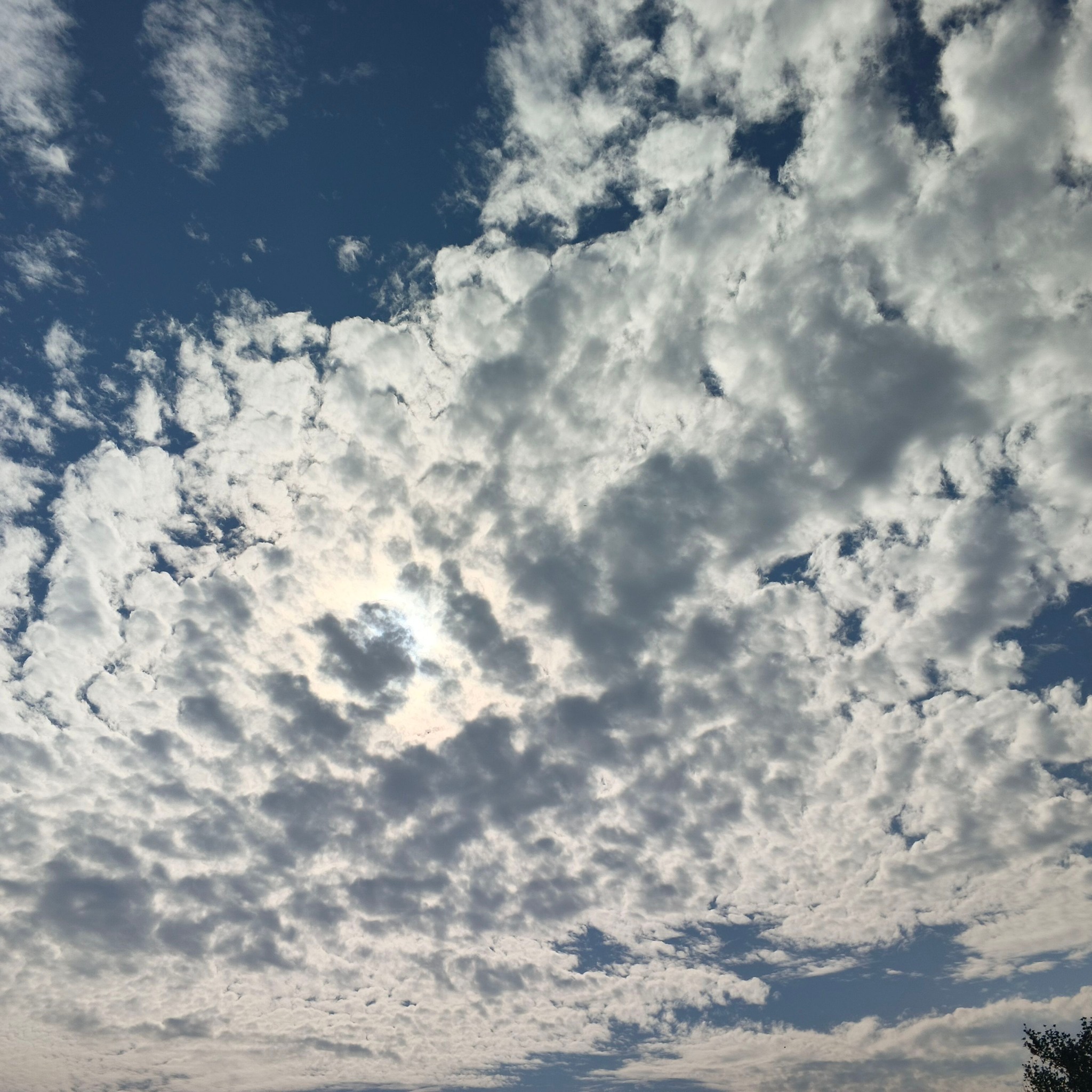 RinGku - RinGku added a new photo.