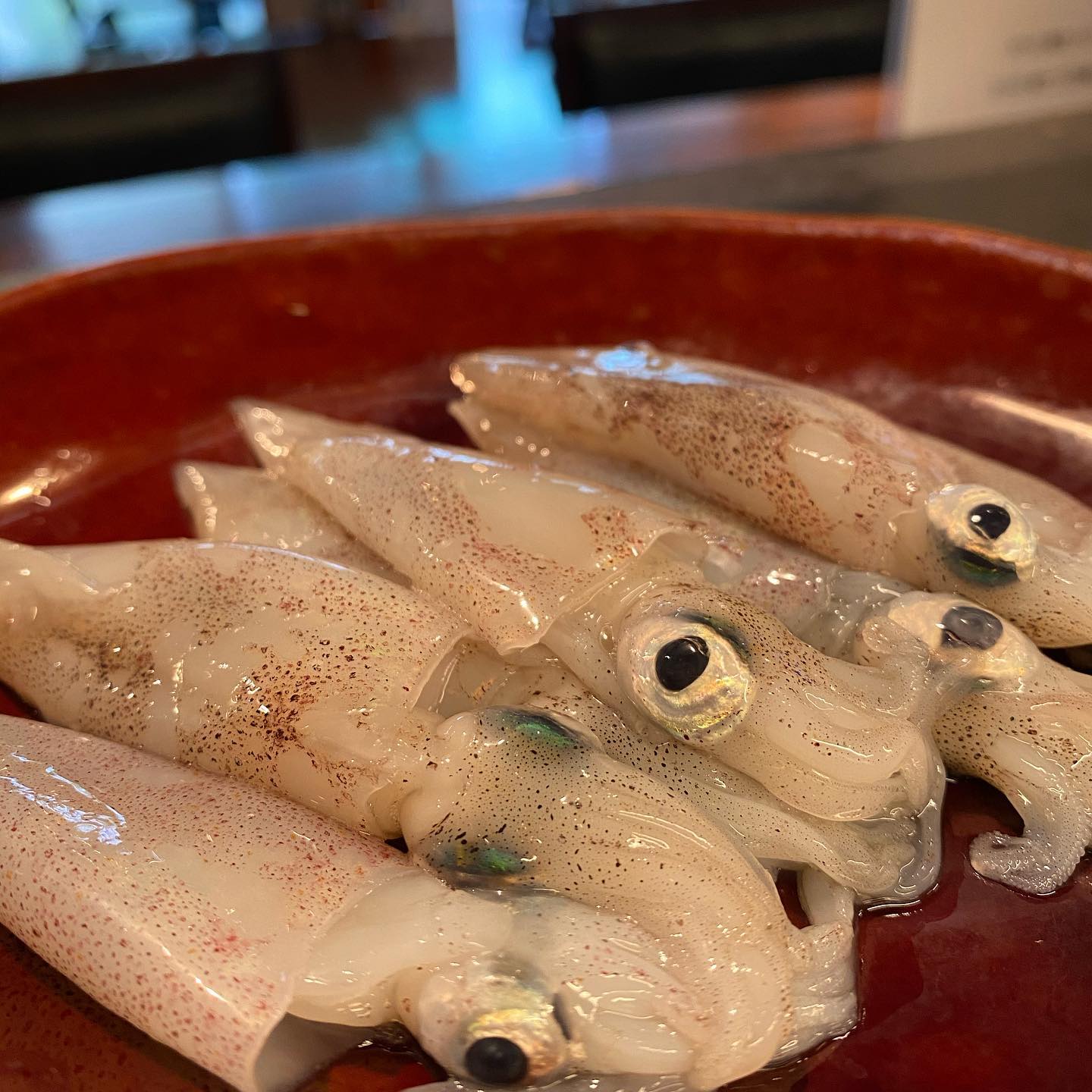 Marisqueria Sol 本日のオススメ食材です 相馬の小ヤリイカ Facebook