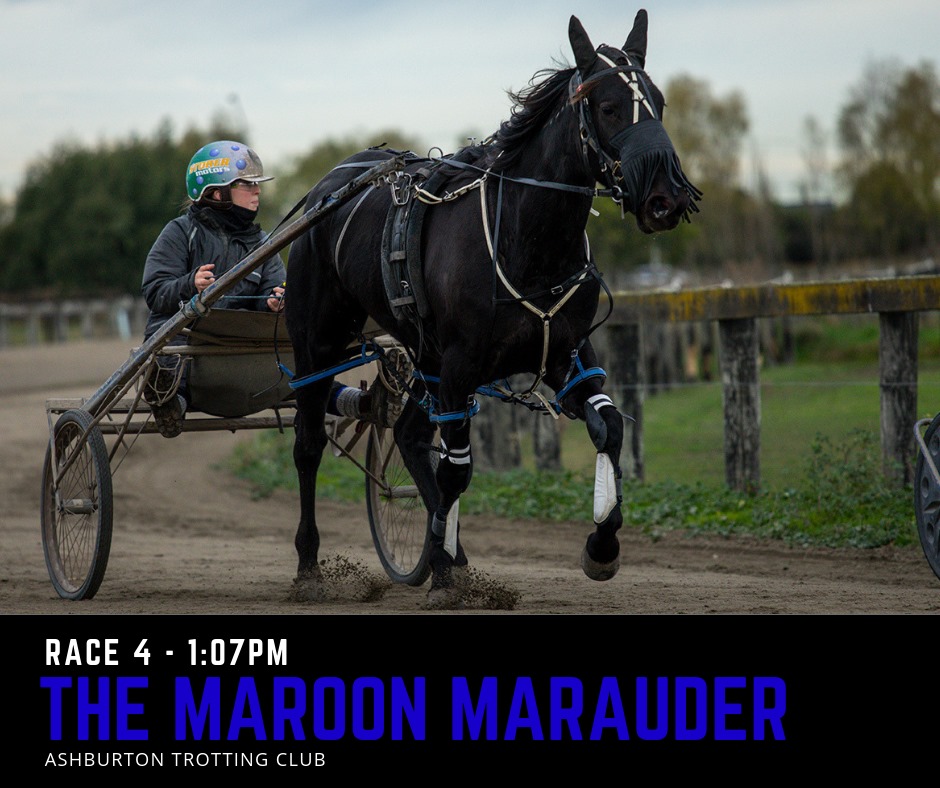 The Maroon Marauder is heading to... - Mowbray Racing Stables | Facebook