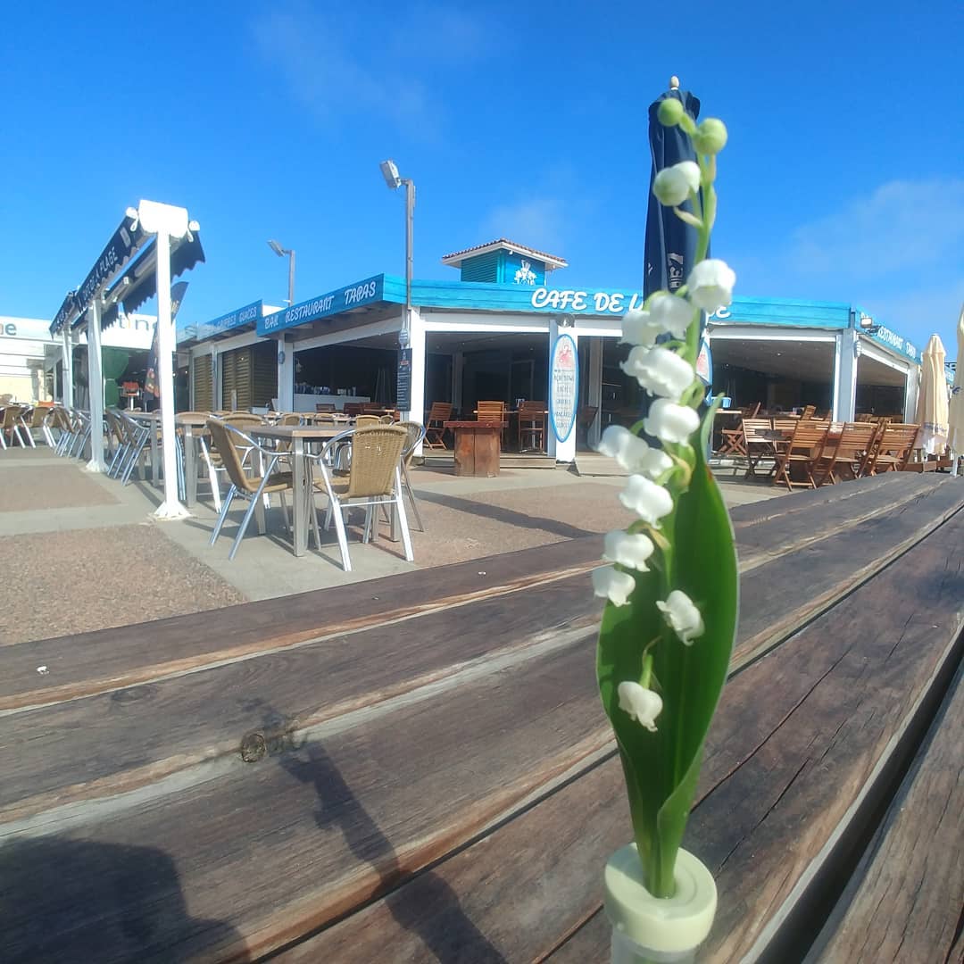 Café De La Plage 5 Tips