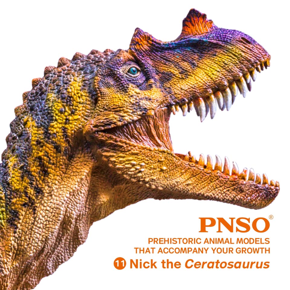 PNSO 恐竜フィギュア Nick the Ceratosaurus Meet Nick the Ceratosaurus from PNSO prehistoric animal models