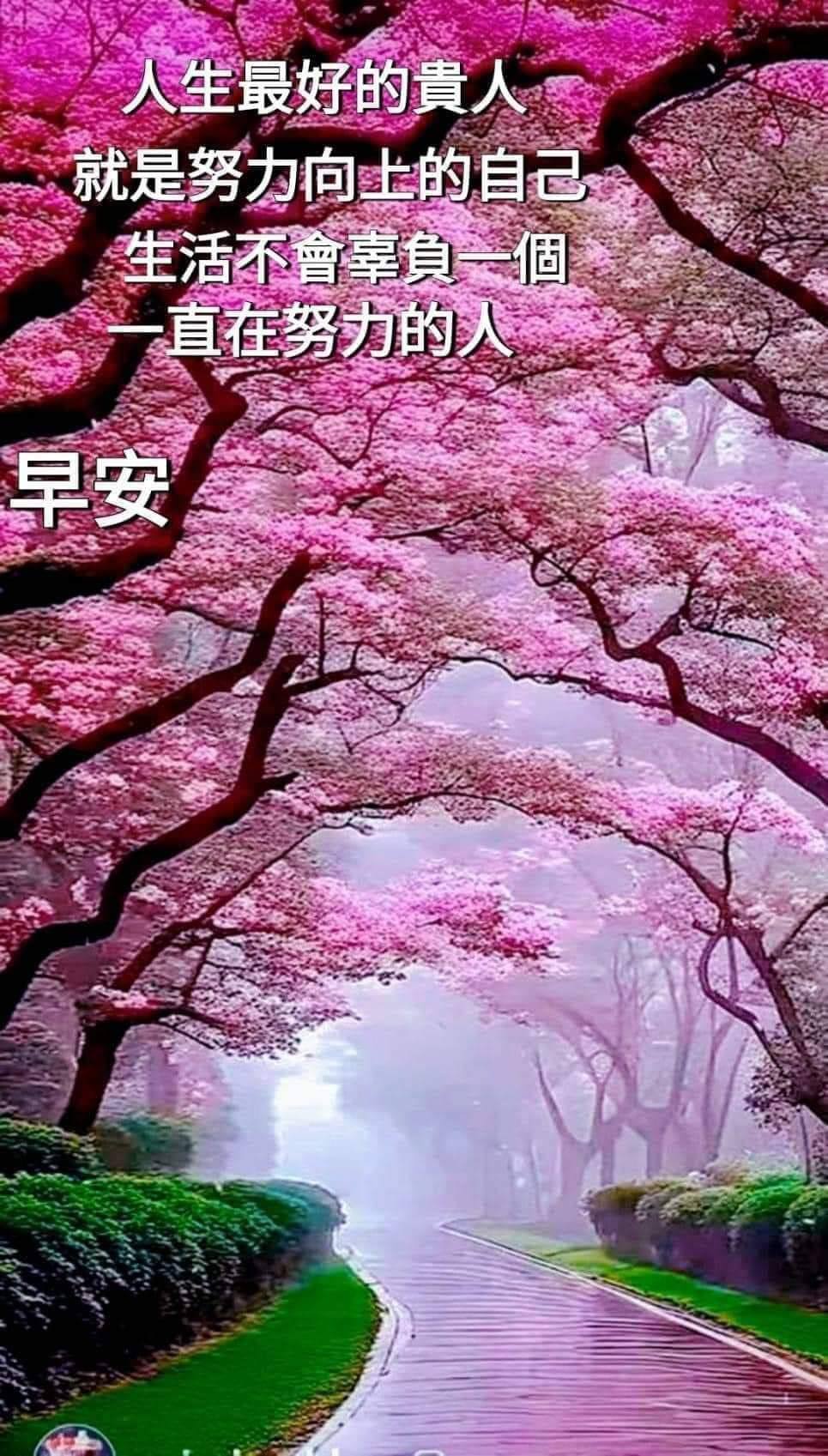 早午晚圖片問侯語 | Facebook