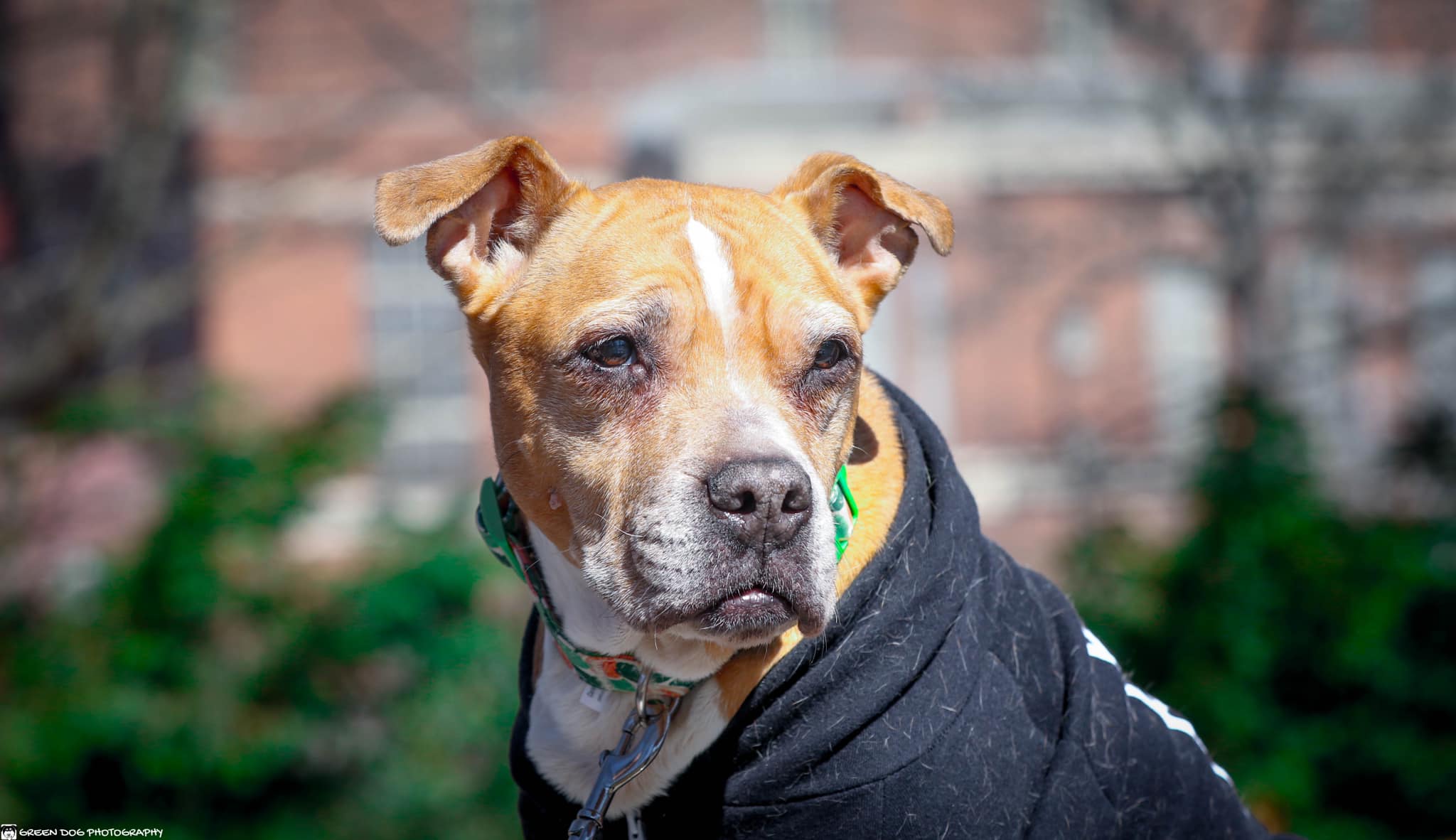 Live Like Roo Foundation added... - Live Like Roo Foundation