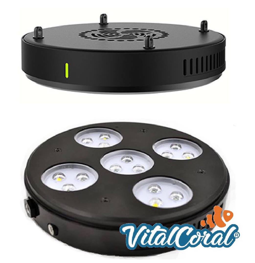 ✓ Nuevo stock de lámparas Coral Box Moon Led PLUS... La última 