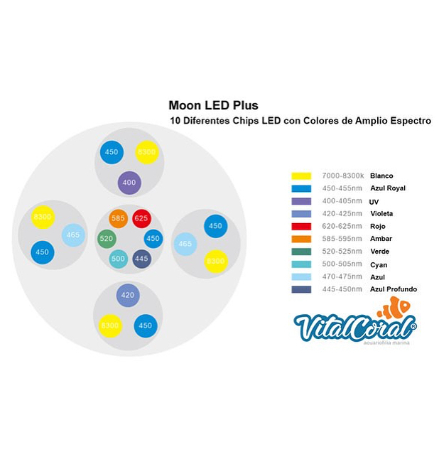 ✓ Nuevo stock de lámparas Coral Box Moon Led PLUS... La última 