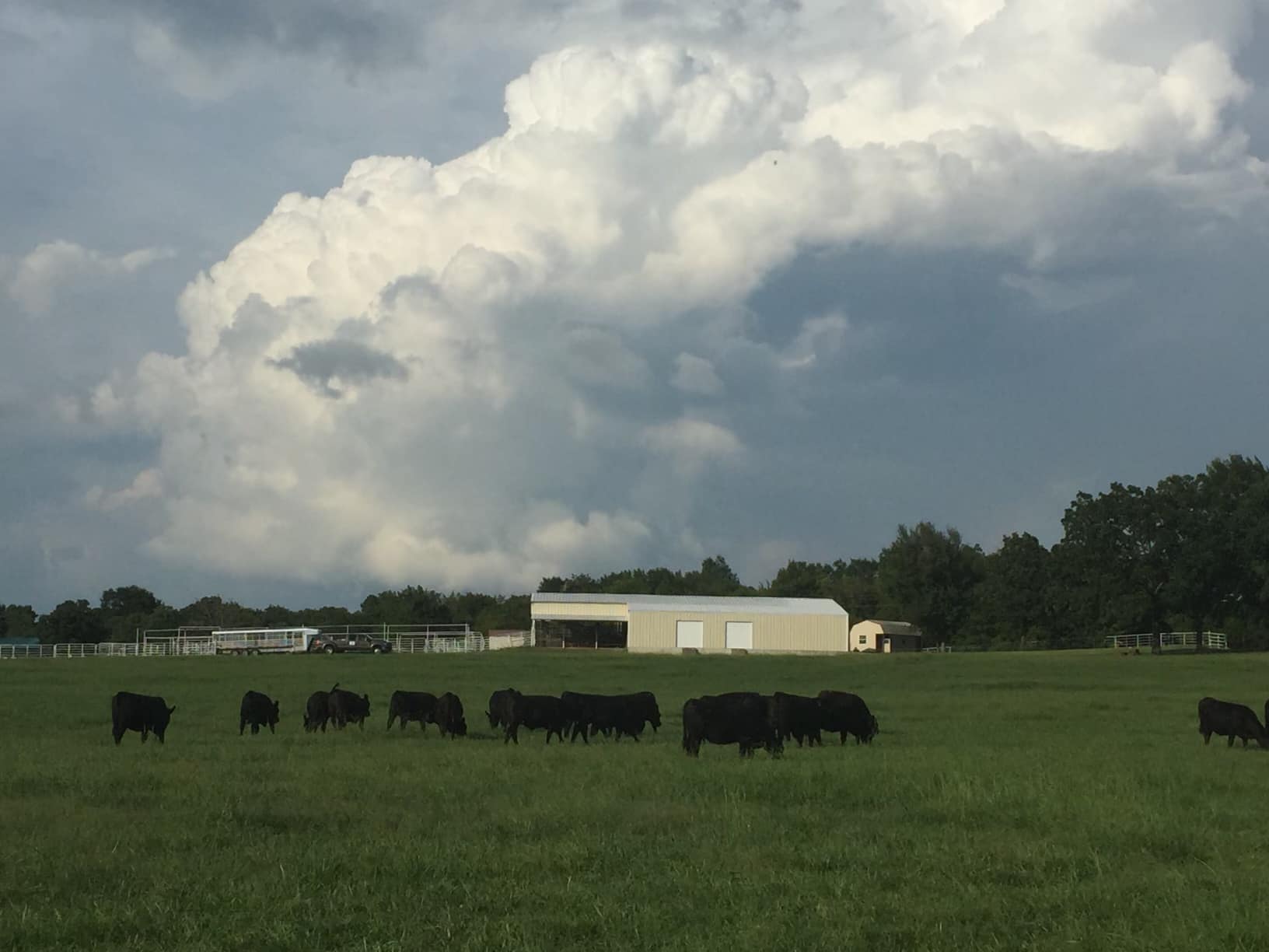 Wann Ranch
