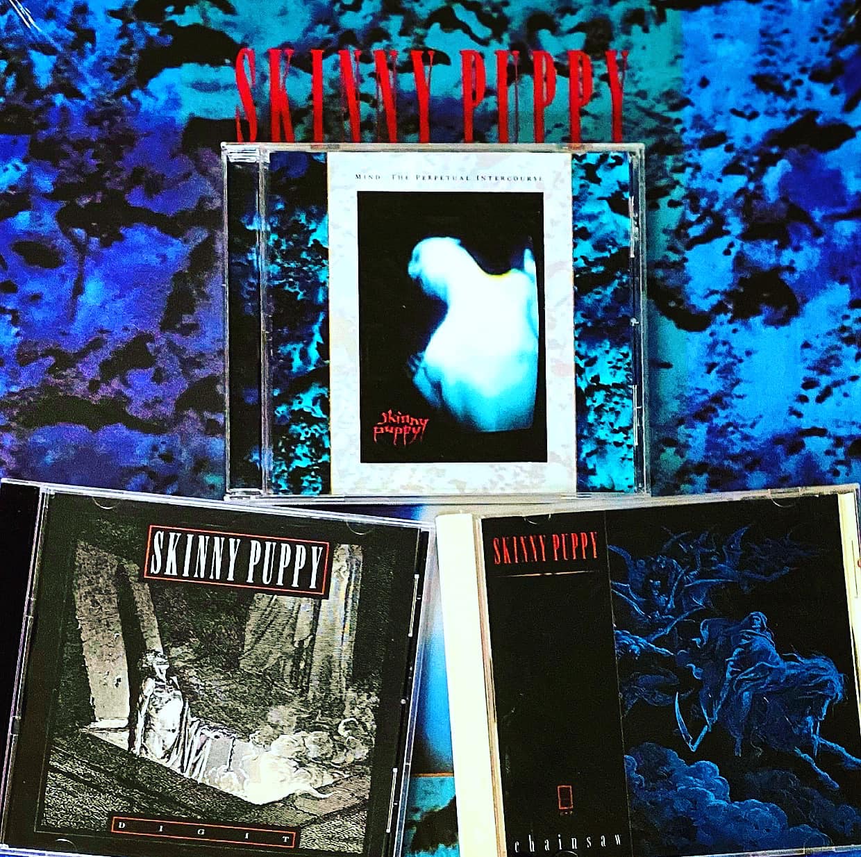 希少Skinny Puppy CDまとめ 希少Skinny Puppy CDまとめ