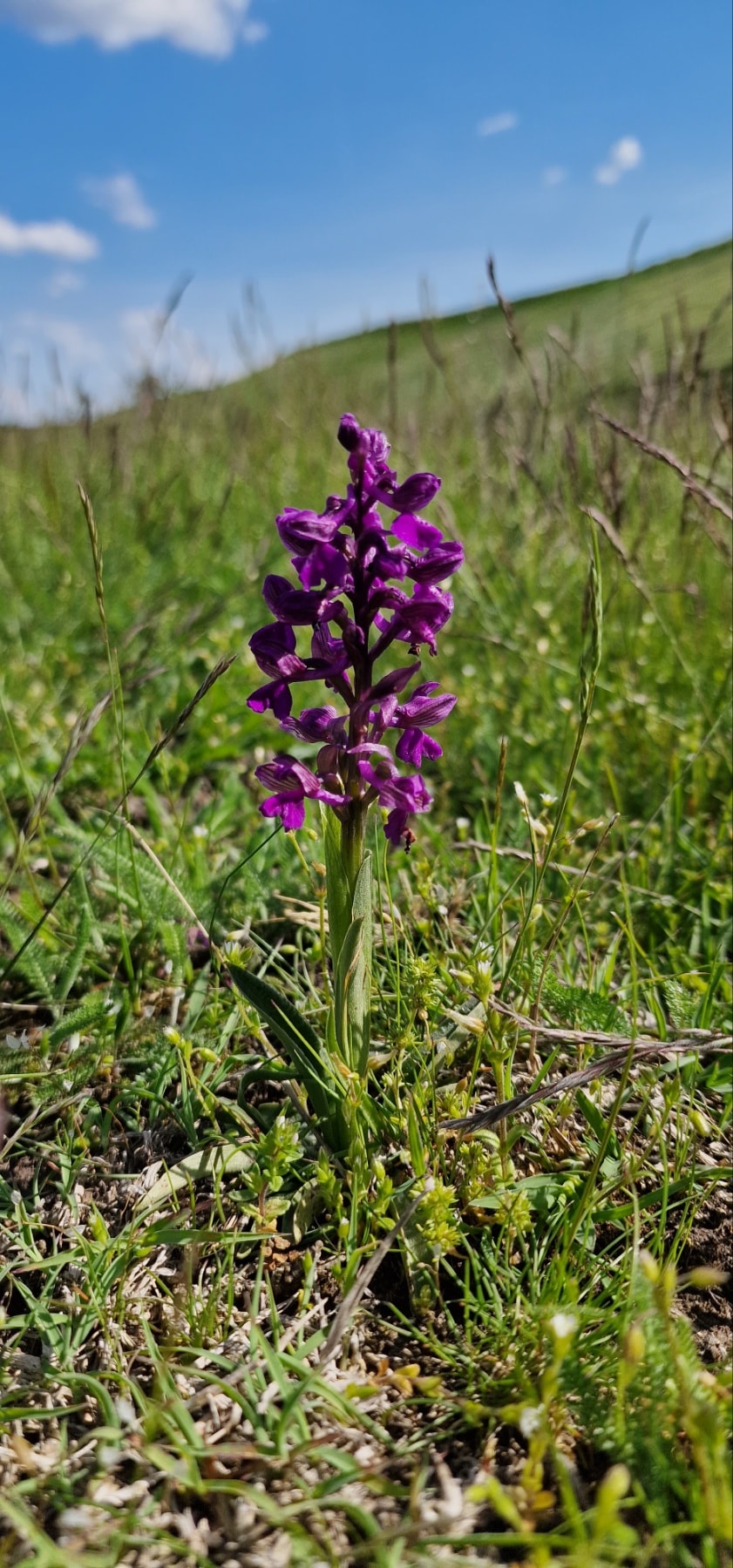 Specijalni rezervat prirode 