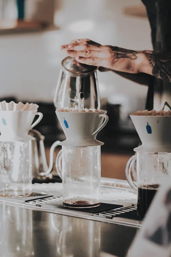 🌸 Blue Bottle Coffee x KINTO: Japan-Exclusive SAKURA Cup