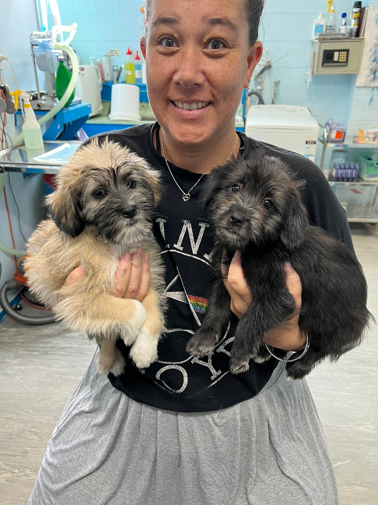 Bay of... - Bay of Islands Animal Rescue - Never Ending Story