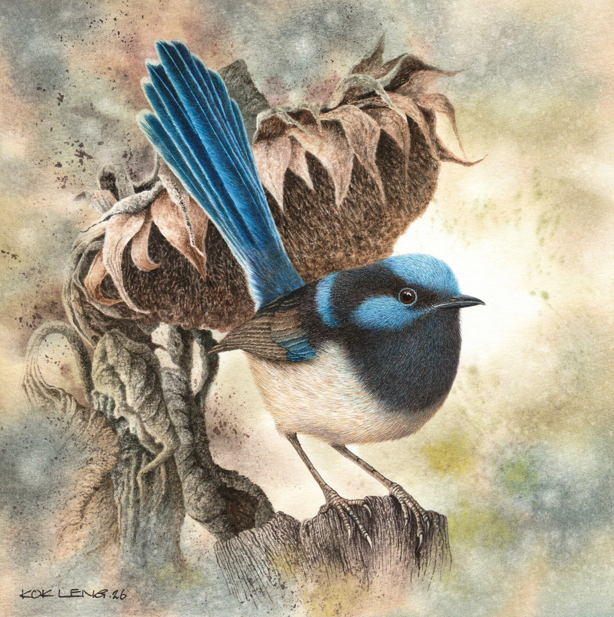 Chong - Superb Fairywren💙 壮丽细尾鹩莺💙 watercolor painting size