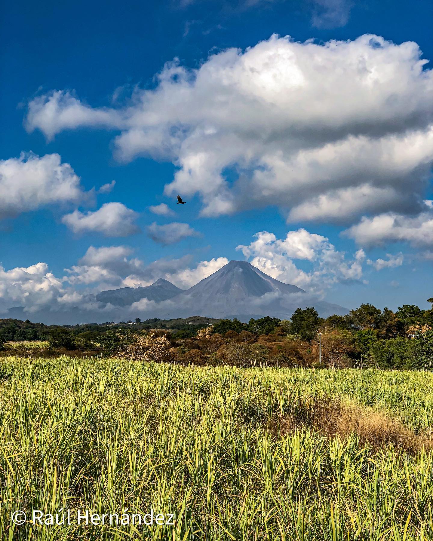 Visit Suchitlán - 🏔️🌋