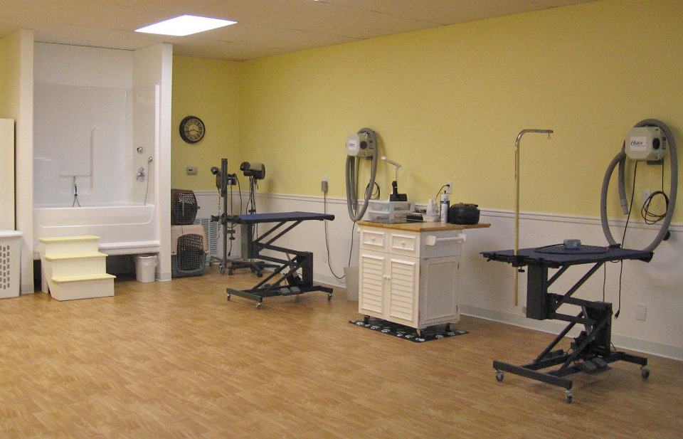 Fuzzy Paws Dog Grooming | Rochester NY