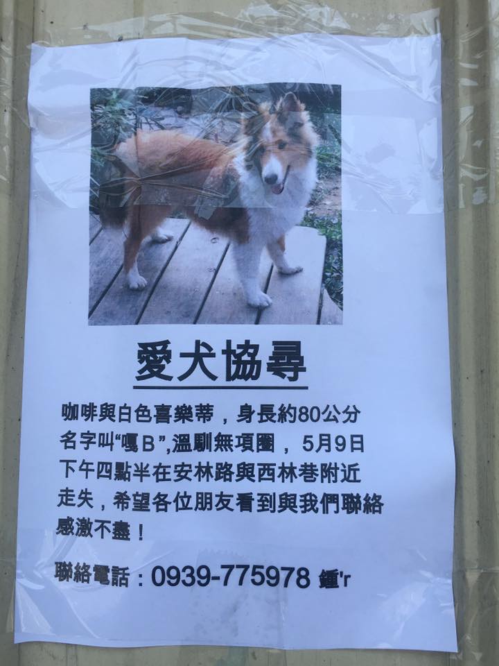 改善西屯林厝里安林路至福雅路淹水爭取5月底前完工 生活 中時