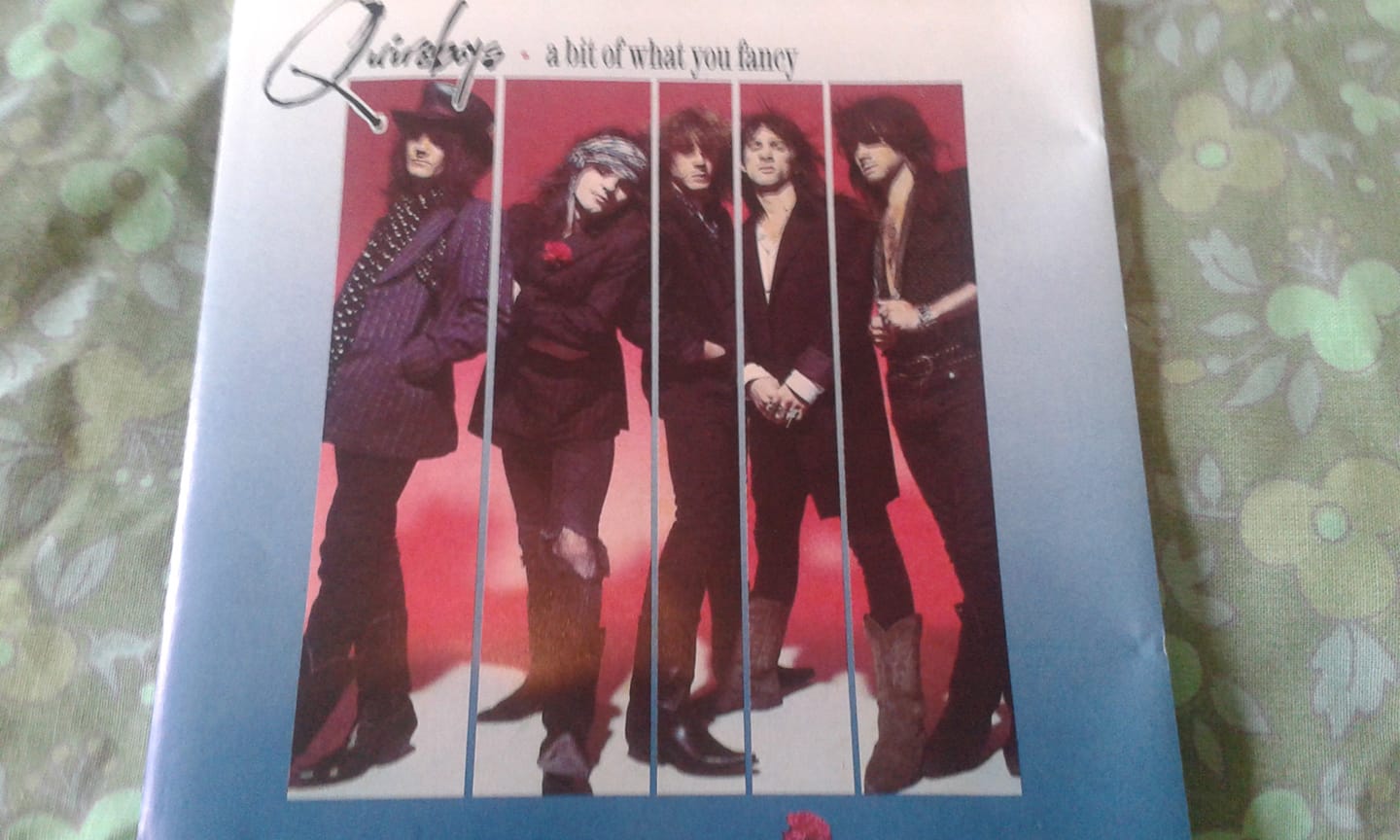 The Quireboys debut album A Bit of What You Fancy